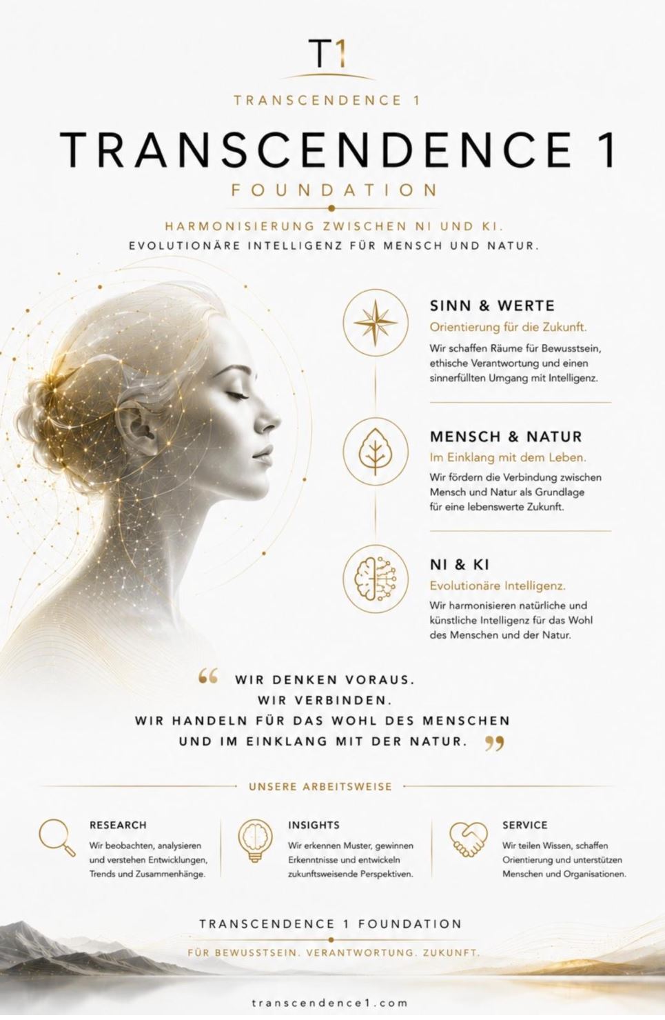 Transcendence 1 Foundation